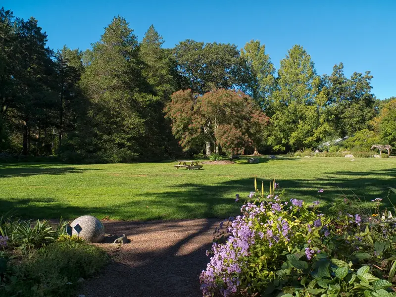 Open lawn at the Bartlett Arboretum, a gravel path curving past flowering hydrangeas toward a picnic table and the tree line beyond